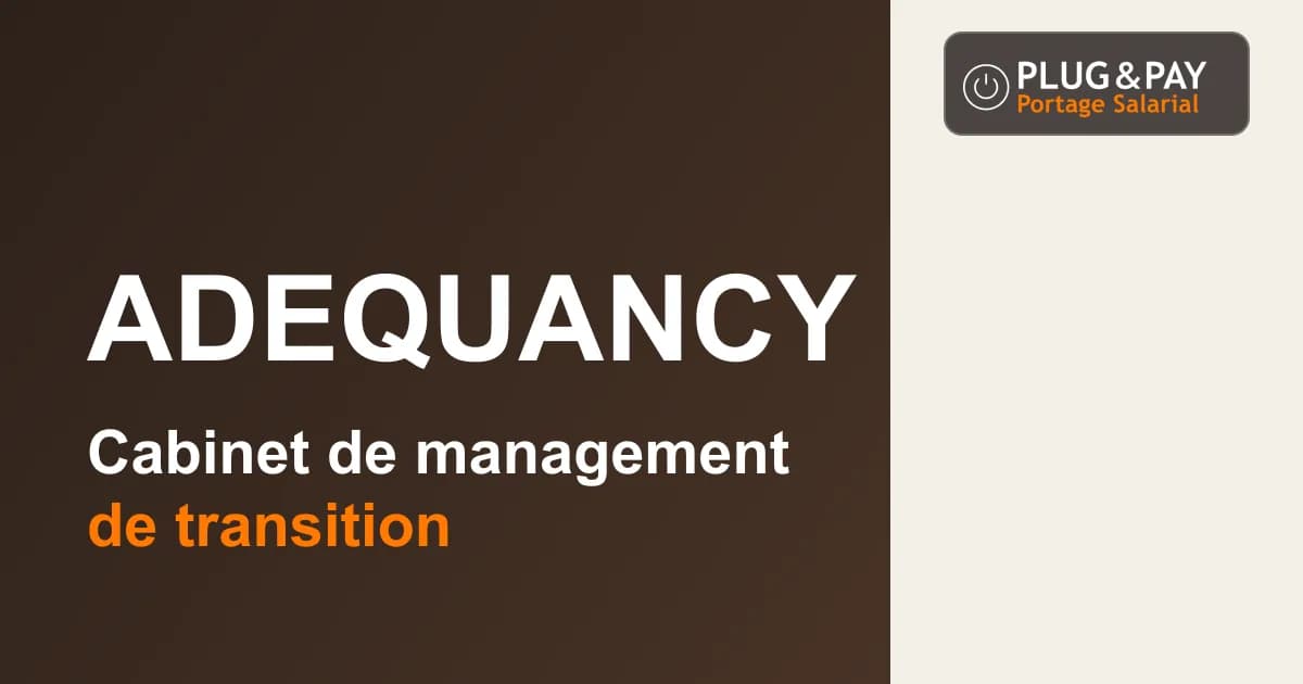Adequancy, cabinet de management de transition, sur un fond brun et écru avec la signature plug&pay.