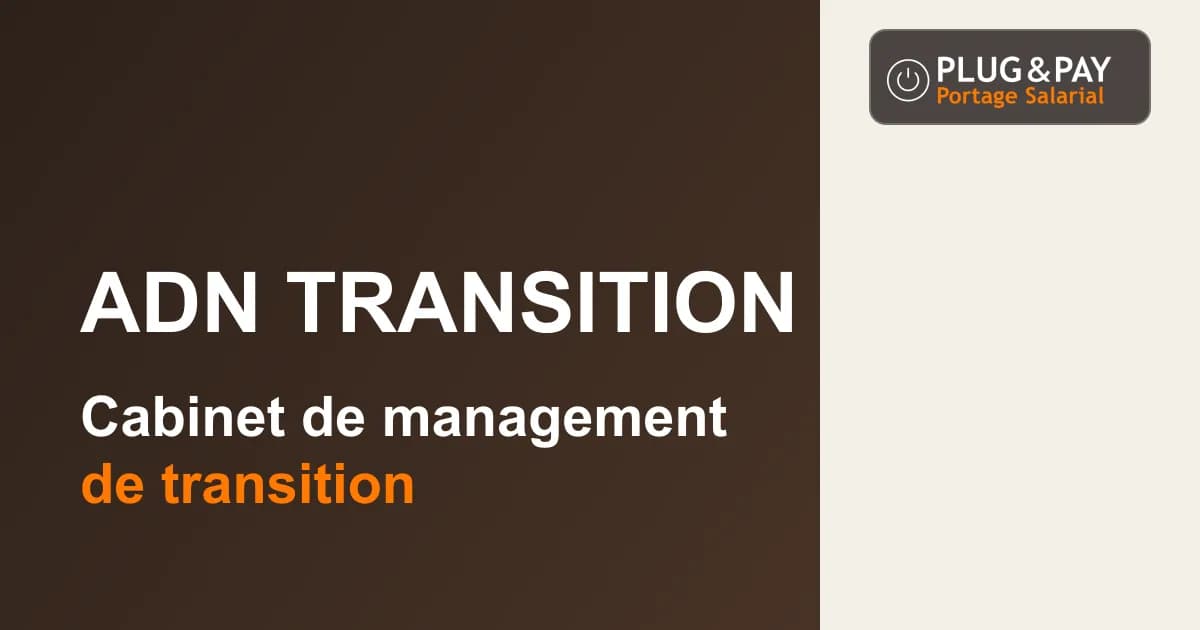 ADN Transition, cabinet de management de transition, sur un fond brun et écru avec la signature plug&pay.