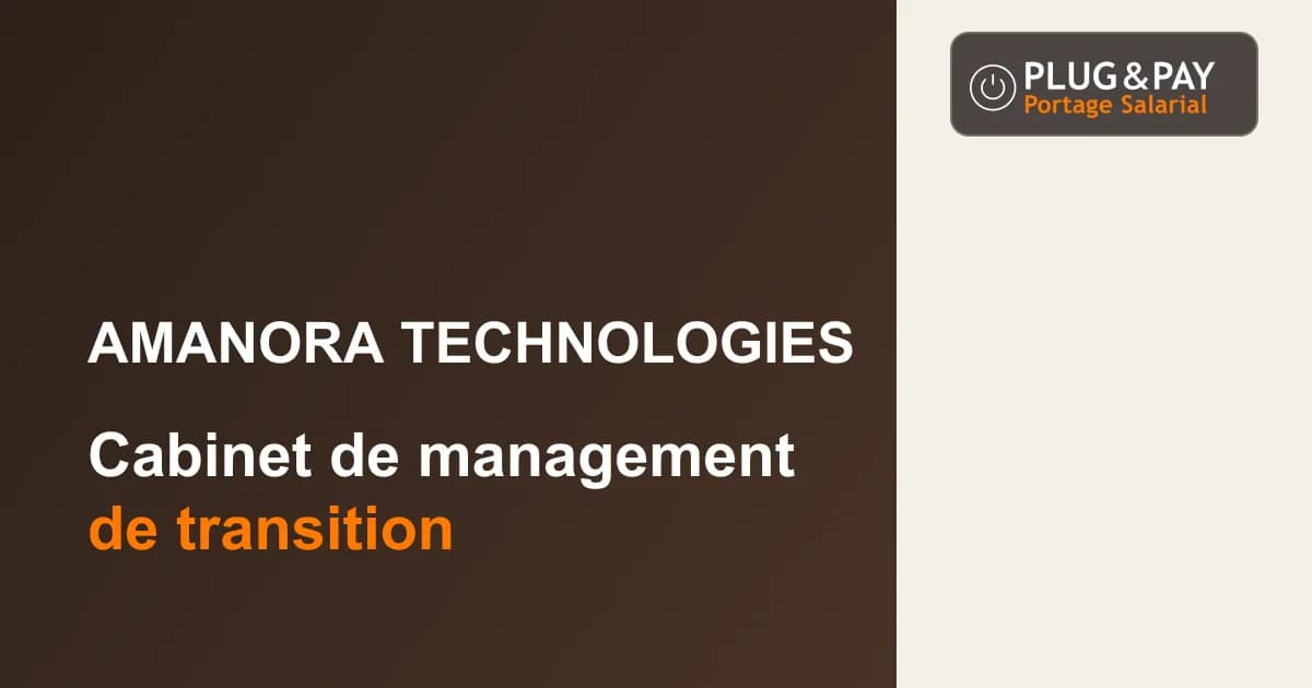 Amanora Technologies, cabinet de management de transition, sur un fond brun et écru avec la signature plug&pay.