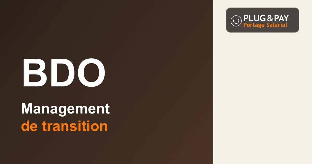 BDO Temps Partagé & Management de Transition : management de transition — fiche cabinet plug&pay