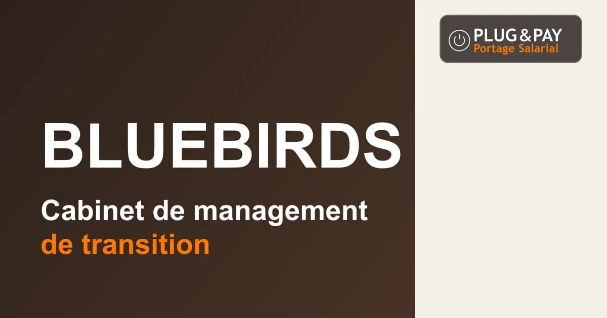 Bluebirds, cabinet de management de transition, sur un fond brun et écru avec la signature plug&pay.