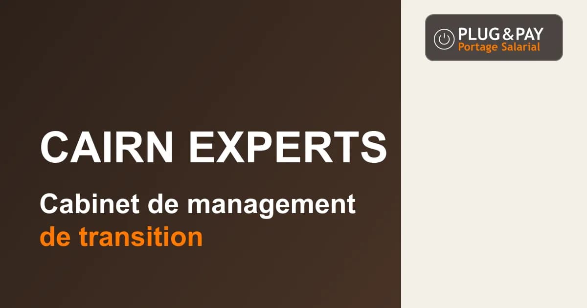 Cairn Experts, cabinet de management de transition, sur un fond brun et écru avec la signature plug&pay.