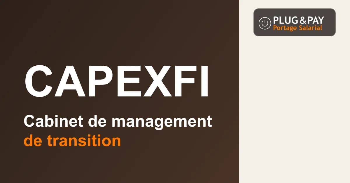 CapexFi, cabinet de management de transition, sur un fond brun et écru avec la signature plug&pay.