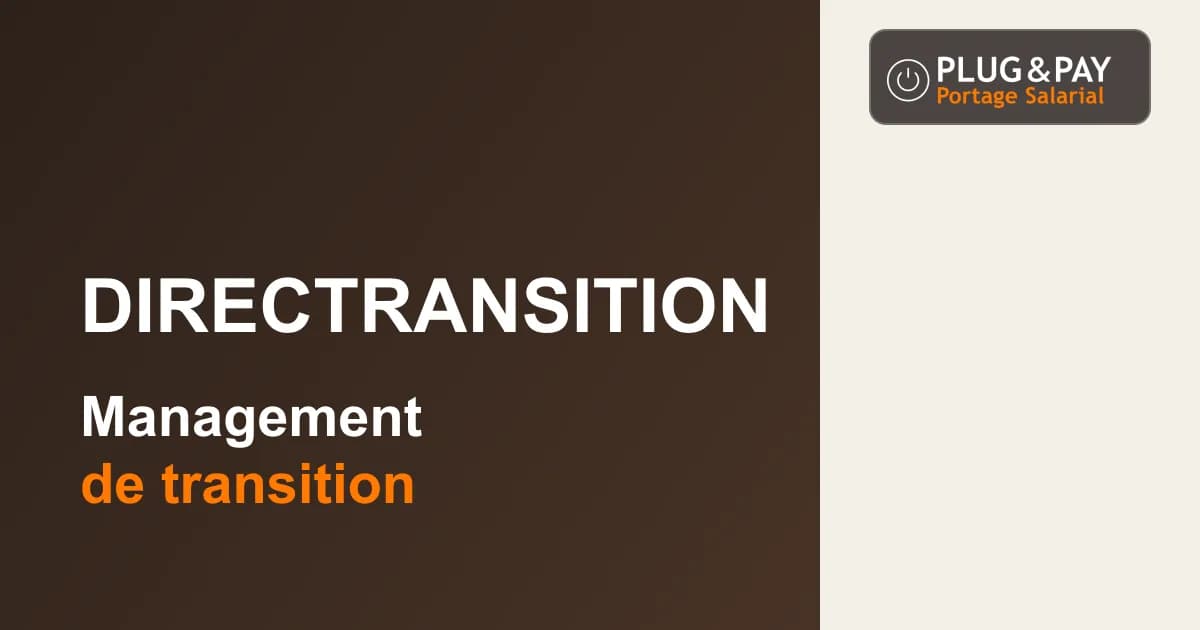 DirecTransition : management de transition — fiche cabinet plug&pay