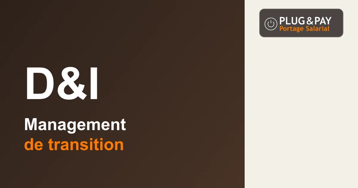 Dirigeants & Investisseurs : management de transition — fiche cabinet plug&pay