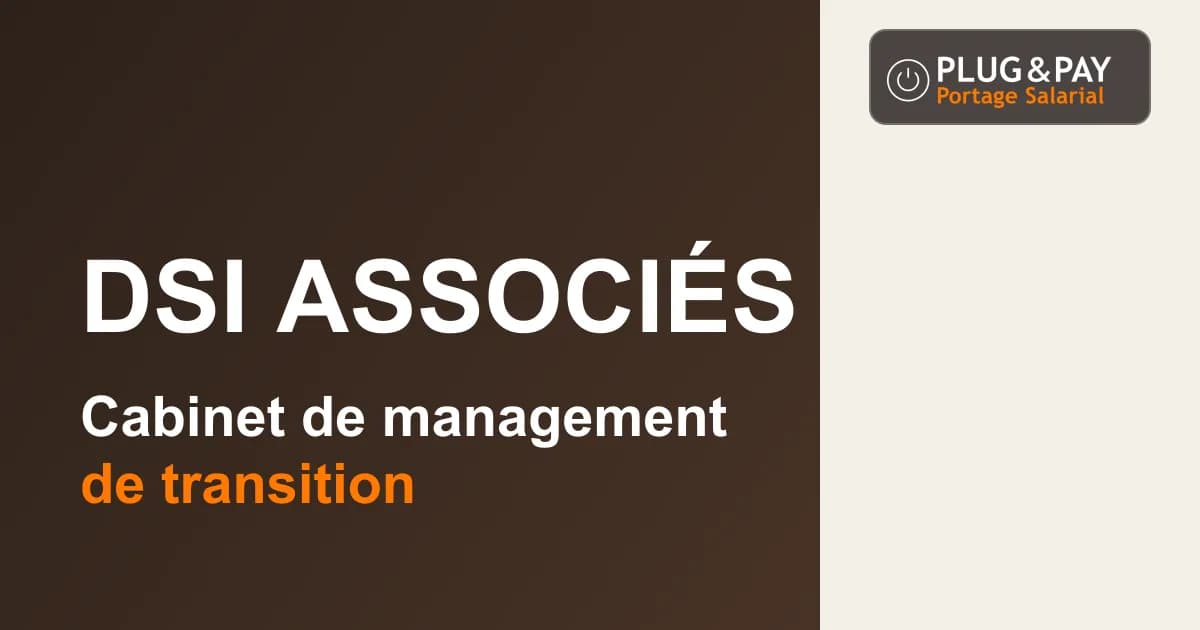 DSI Associés, cabinet de management de transition, sur un fond brun et écru avec la signature plug&pay.