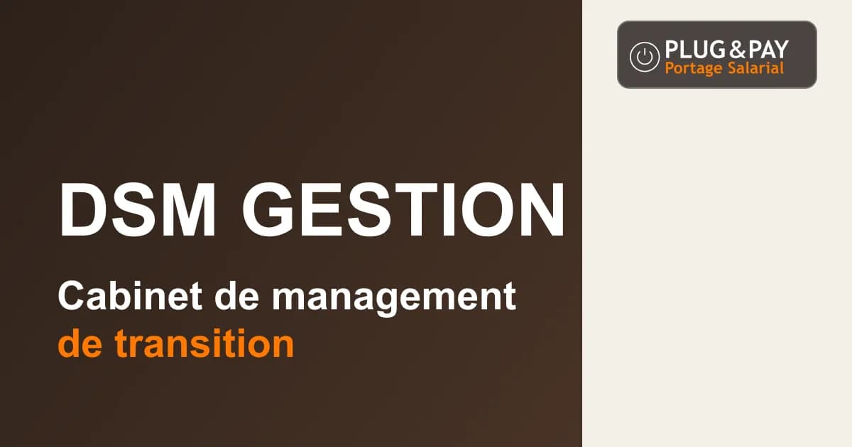 DSM Gestion, cabinet de management de transition, sur un fond brun et écru avec la signature plug&pay.