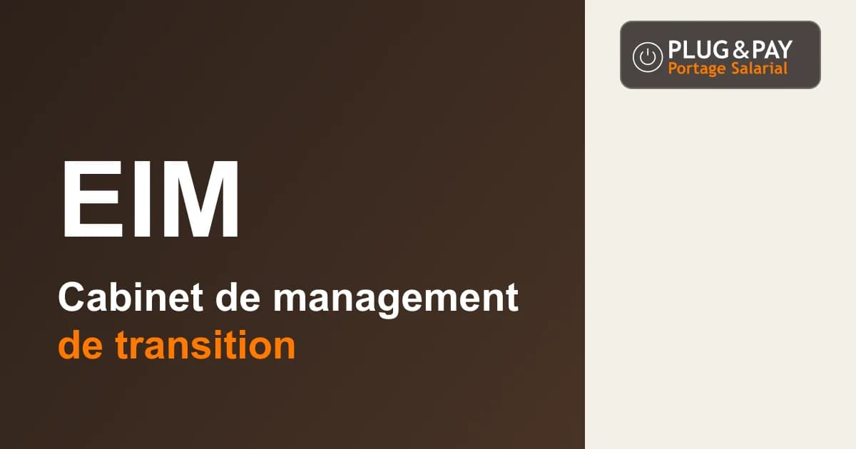 EIM, cabinet de management de transition, sur un fond brun et écru avec la signature plug&pay.