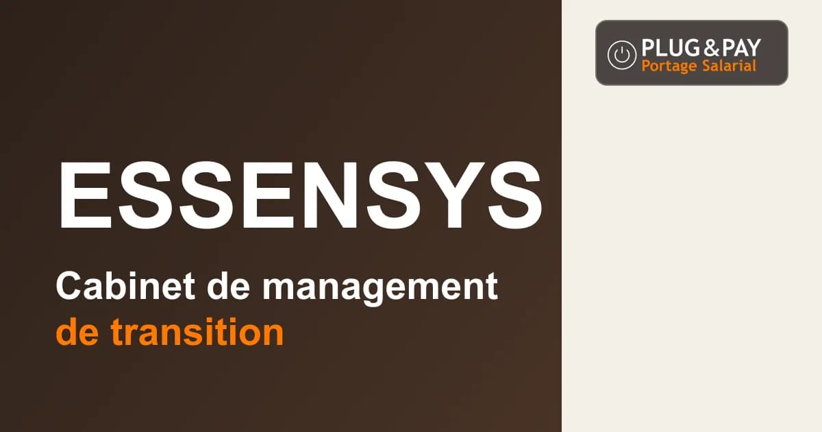 Essensys, cabinet de management de transition, sur un fond brun et écru avec la signature plug&pay.