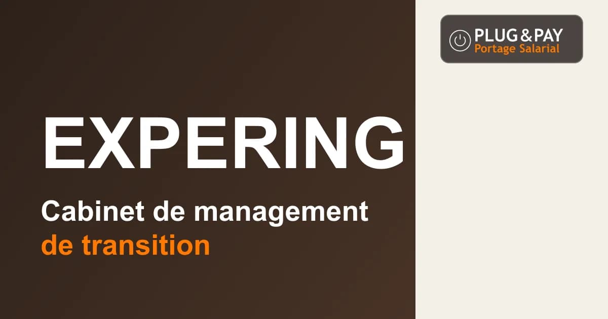 Expering, cabinet de management de transition, sur un fond brun et écru avec la signature plug&pay.