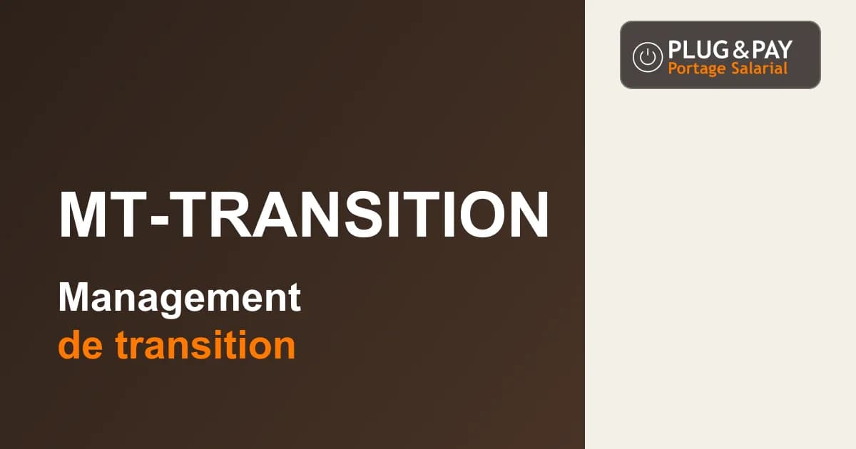 MT-Transition : management de transition — fiche cabinet plug&pay