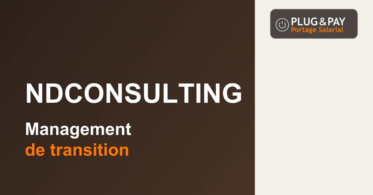 NDconsulting : management de transition — fiche cabinet plug&pay