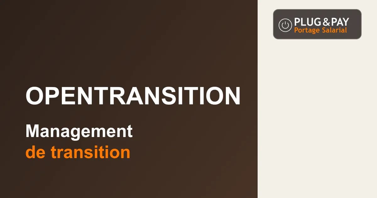 OpenTransition : management de transition — fiche cabinet plug&pay