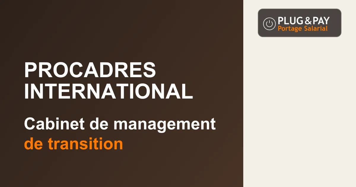 Procadres International, cabinet de management de transition, sur un fond brun et écru avec la signature plug&pay.
