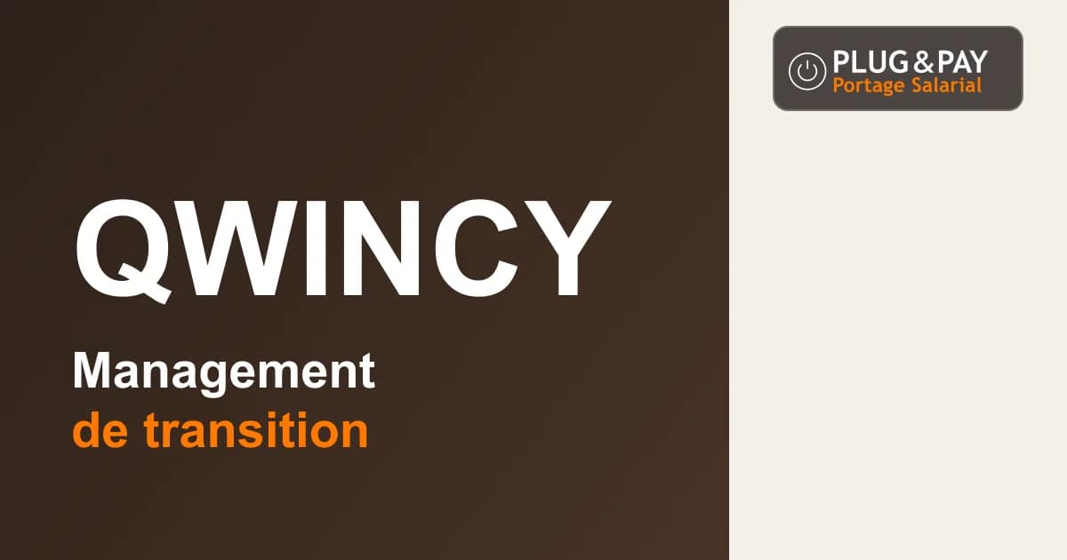 Qwincy : management de transition — fiche cabinet plug&pay