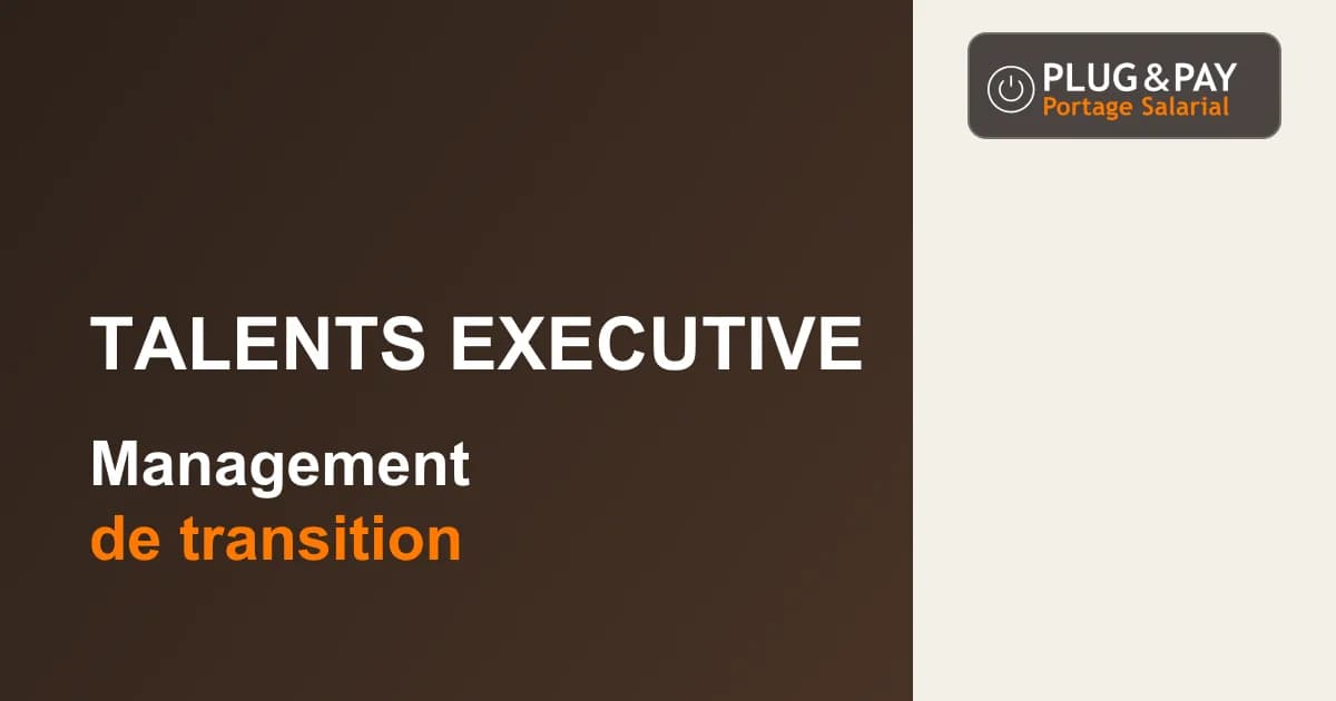 Talents Executive : management de transition — fiche cabinet plug&pay