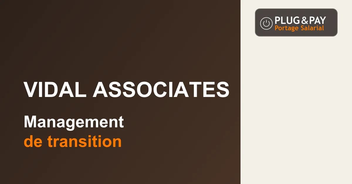 Vidal Associates Consulting & Search : management de transition — fiche cabinet plug&pay